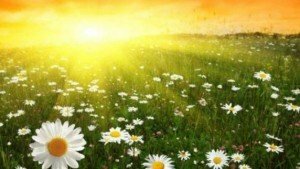День літнього сонцестояння: обряди, традиції та поради